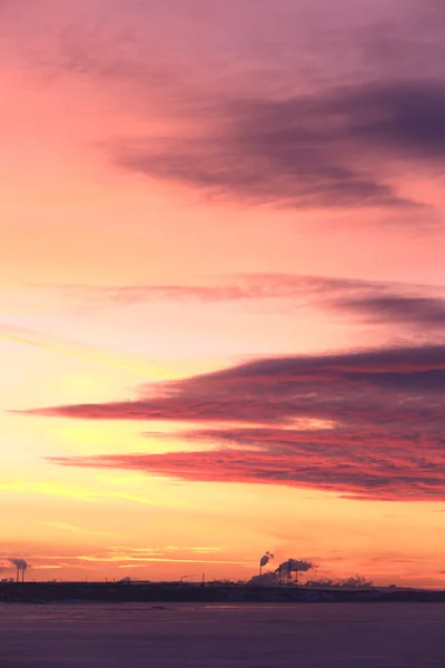 Paysage Hivernal Coucher Soleil Rouge Sur Glace Rivière Plante Tubulaire — Photo