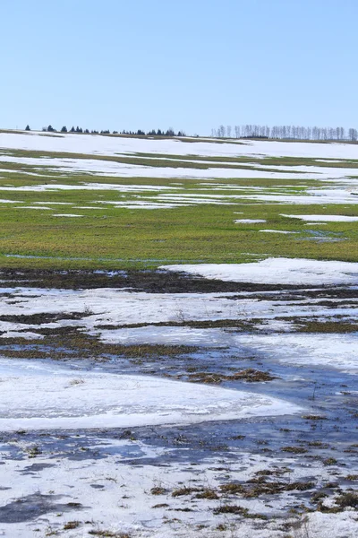 Landscape Awal Musim Semi Lapangan Pada Hari Yang Cerah — Stok Foto