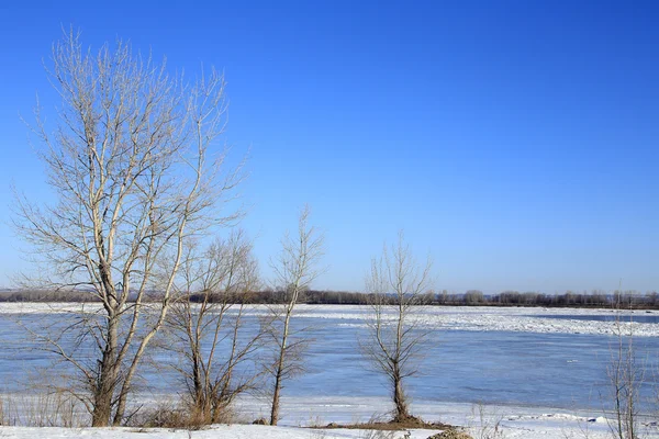 Baharın Erken Saatlerinde Güneşli Bir Günde Nehir Üzerindeki Buzlar Sürükleniyor — Stok fotoğraf