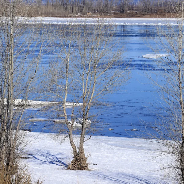 初春阳光明媚的时候 江面上的风景冰上飘扬 — 图库照片