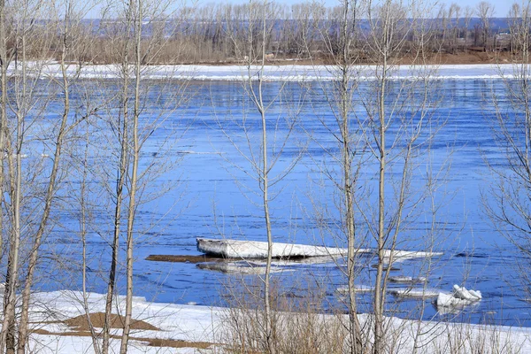 晴れた日には早春に川に流氷が流れます — ストック写真
