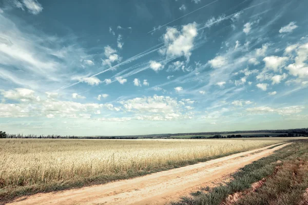 Walk in the fields — Stock Photo, Image