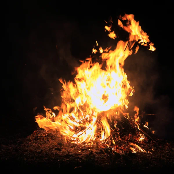 Flammen verbrennen Gras — Stockfoto