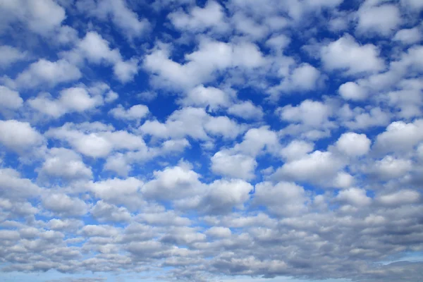 Krajina Krásné Kumulus Mraky Proti Modré Obloze Slunečný Den — Stock fotografie