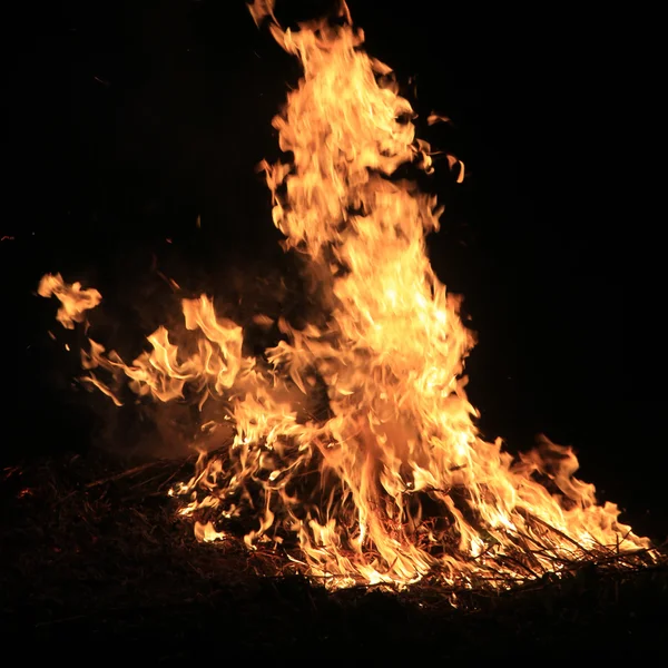 Полум'я горить трава — стокове фото