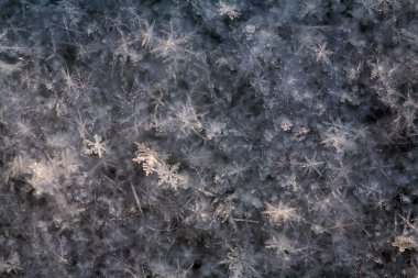 makro doku doğal ışık altındaki buz üzerinde kar taneleri