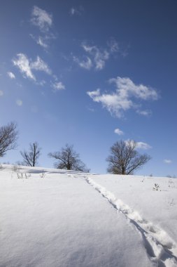 güneşli kış manzarası