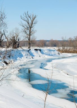 Sahilde yaprakları olmayan manzaralı nehir ağaçları ve güneşli bir baharın erken saatlerinde eriyen kar ve buzlar.