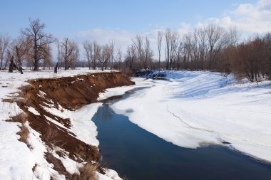 Sahilde yaprakları olmayan manzaralı nehir ağaçları ve güneşli bir baharın erken saatlerinde eriyen kar ve buzlar.