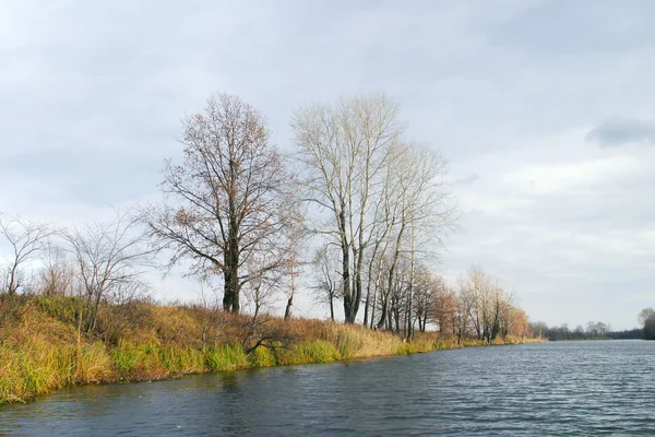 Beau Paysage Automne Calme Arbres Fluviaux Sans Feuilles Ciel Nuageux — Photo