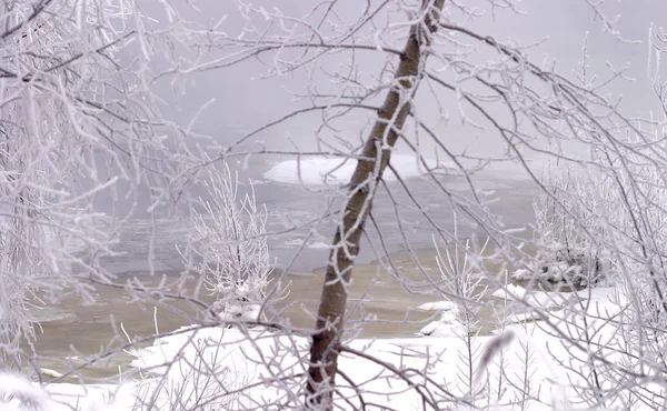 Zima na řece — Stock fotografie