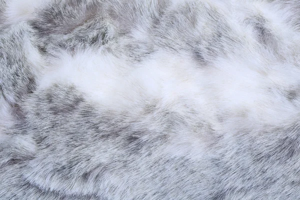 灰色の毛皮の質感 — ストック写真