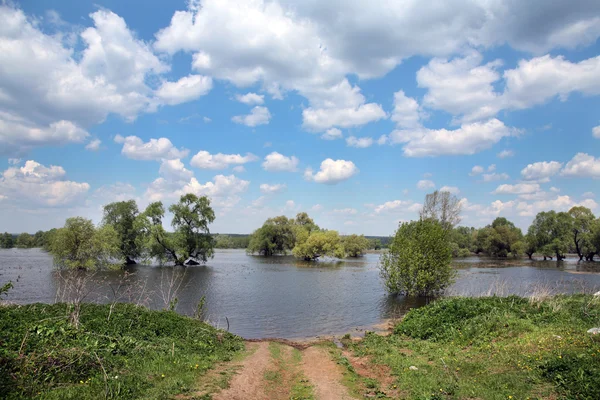 Hermosa inundación de primavera —  Fotos de Stock