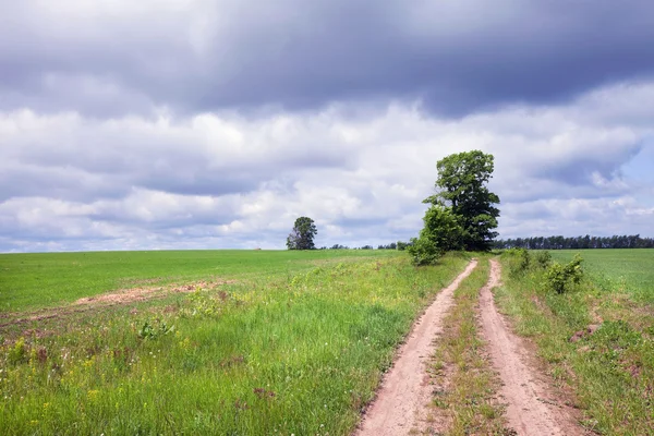 Beautiful Summer Landscape Green Field Road Leading Horizon Beautiful Clouds — Stock Photo, Image