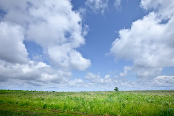 날푸른 하늘에 아름다운 풍경이 끝없는 구름처럼 펼쳐져 — 스톡 사진