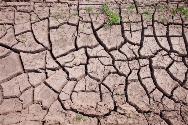 Erosive Böden mit Rissen — Stockfoto