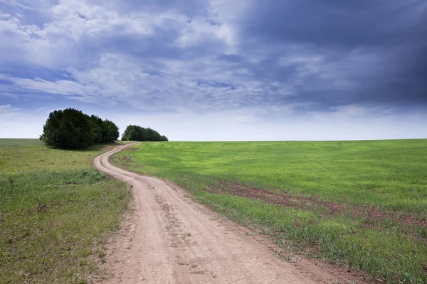 Walk in the field — Stock Photo, Image