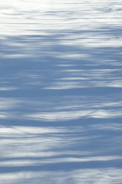 Zimní Krajiny Sněhu Textury Čisté Hladké Krásné Stínu Stromů — Stock fotografie