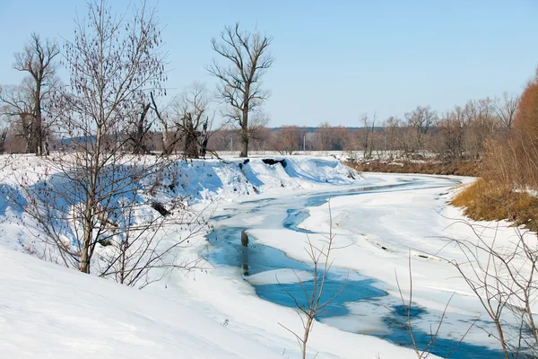 美丽的风景 河岸上没有树叶的河流树 阳光明媚的早春 冰雪融化 — 图库照片
