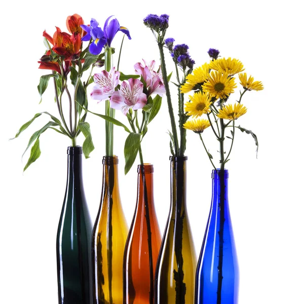 Beautiful flowers in colorful bottles — Stock Photo, Image