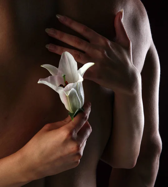 White lily in the hands — Stock Photo, Image