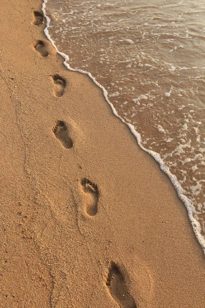 Empreintes de pas dans le sable — Photo