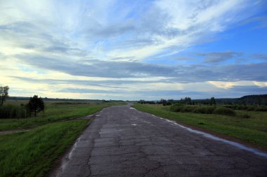 Ormanın ve yolun üzerinde sis var.