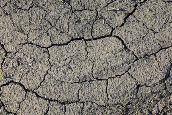 Trockene rissige Erde — Stockfoto