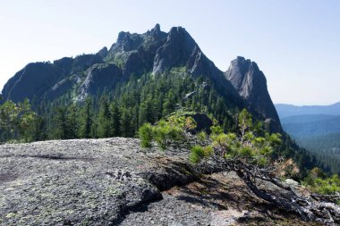 Kaplumbağa dağ dağ Ergaki Batı Sayan