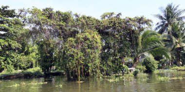 Bangkok, Tayland - 15 Aralık 2014: Chao Phray tekne