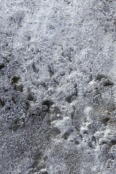 Sığ suda ince buz — Stok fotoğraf
