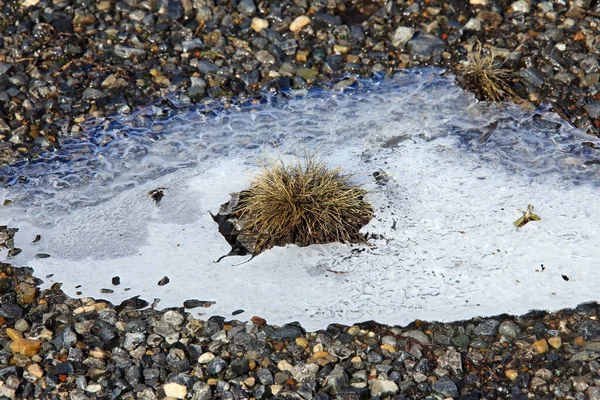 Tunn is i grunt vatten — Stockfoto