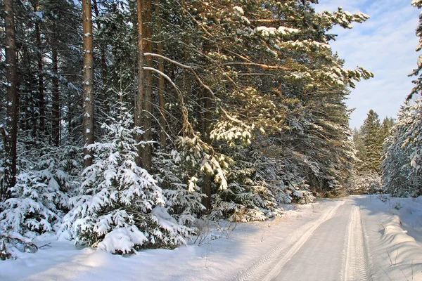 Passeggiata Attraverso Bei Posti Gelido Inverno Russo — Foto Stock