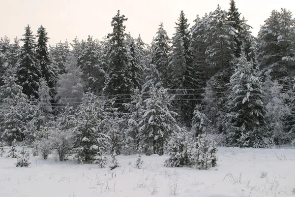 Spaziergang Durch Die Schönen Orte Frostigen Russischen Winter — Stockfoto