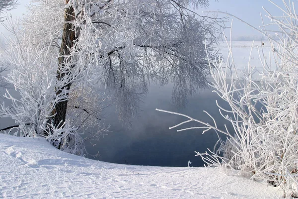 Passeio Inverno Longo Rio Uma Manhã Enevoada — Fotografia de Stock