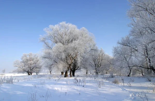 Όμορφα Τοπία Του Χειμώνα Λαμβάνονται Μια Σαφή Ημέρα — Φωτογραφία Αρχείου