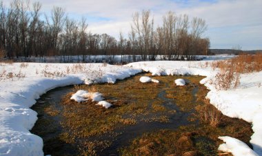 Nehir boyunca yürü ılık bahar günü