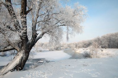 Nehirde kış günü Zai-ice sürükleniyor.