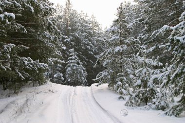 Buz gibi Rus kışının güzel yerlerinde dolaş