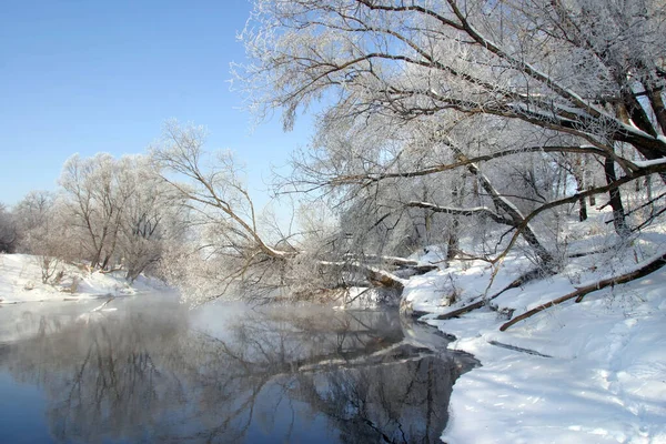 Winter Walk River Misty Morning — Stock Photo, Image