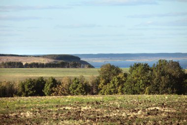 Uçsuz bucaksız Rus yaz çayırlarında yürüyün.