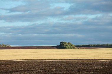 Uçsuz bucaksız Rus yaz çayırlarında yürüyün.