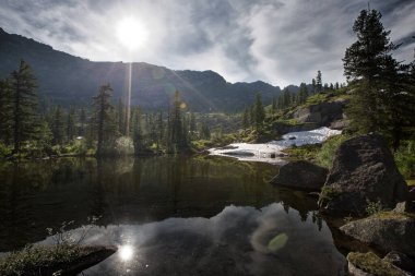 Güneşli bir günde, Azure Gölü yakınlarındaki Batı Sayan dağlarındaki çam ormanlarında yaz manzarası.