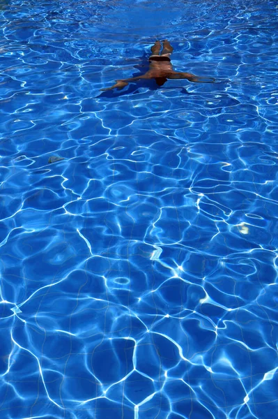 Piscine Eau Azur Isolée Nageur Dans Eau — Photo