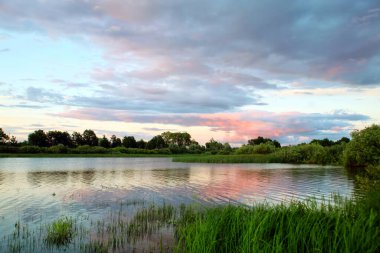 Yaz manzarası güzel pembe gün batımı nehirde ve kıyıya yakın sazlıklar