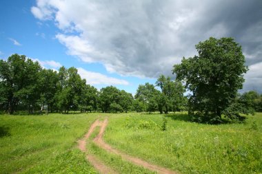 Bulutlu bir günde, yaprak döken ormandaki toprak yol.