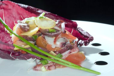 Makro salatayı beyaz bir tabağa güzelce yerleştirmiş sebzelerle süslenmiş ve koyu arkaplanda lahana yaprağı bordo stüdyosu var.