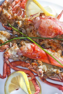 Limonlu makro ıstakoz. Beyaz bir tabakla süslenmiş. Arka planda karanlık bir stüdyoda.