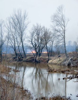 Nehir kıyısında bahar manzarası yangını, kuru çimenleri yakan sisli bir sabah.
