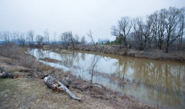 Nehir manzarası ve yaprakları olmayan ağaçlar sisli bahar sabahının erken saatlerinde